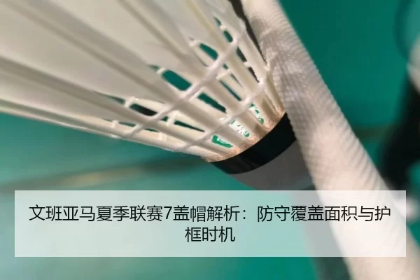 文班亚马夏季联赛7盖帽解析：防守覆盖面积与护框时机